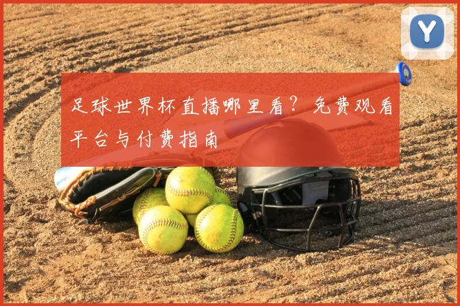 足球世界杯直播哪里看？免费观看平台与付费指南